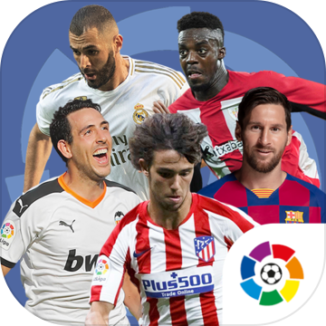 他的职业生 他的职业生