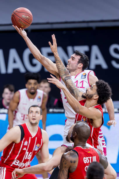 响力的喜鹊 响力的喜鹊